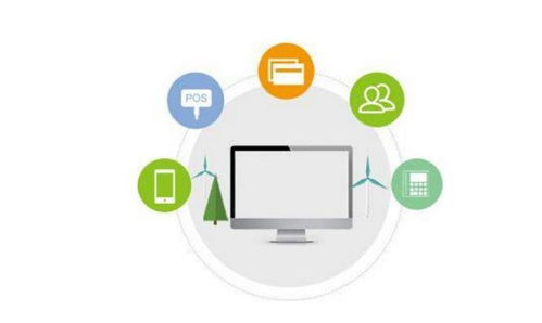 软件系统开发与信息技术咨询服务的关键注意事项