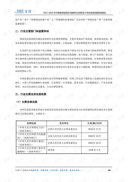 2021-2025年中国电网信息技术服务行业调研及个性化定制咨询战略分析